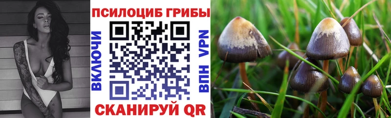 Купить  Купино  Галлюциногенные грибы мухоморы 